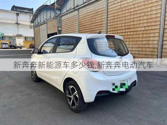 新奔奔新能源车多少钱,新奔奔电动汽车