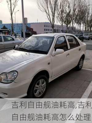 吉利自由舰油耗高,吉利自由舰油耗高怎么处理
