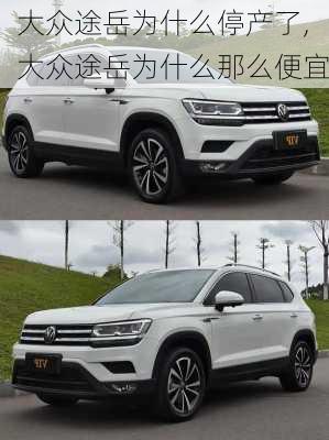 大众途岳为什么停产了,大众途岳为什么那么便宜