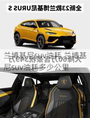 兰博基尼suv油耗,兰博基尼suv油耗多少公里