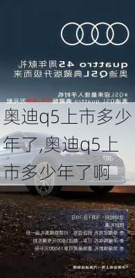 奥迪q5上市多少年了,奥迪q5上市多少年了啊