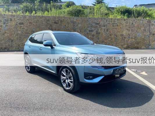 suv领导者多少钱,领导者suv报价