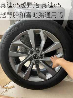 奥迪q5越野胎,奥迪q5越野胎和雪地胎通用吗