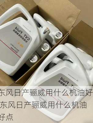 东风日产骊威用什么机油好,东风日产骊威用什么机油好点