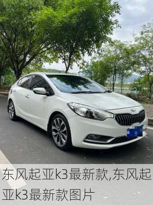 东风起亚k3最新款,东风起亚k3最新款图片