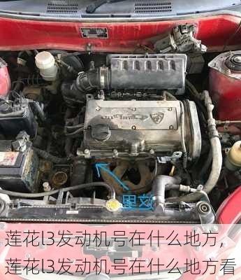 莲花l3发动机号在什么地方,莲花l3发动机号在什么地方看