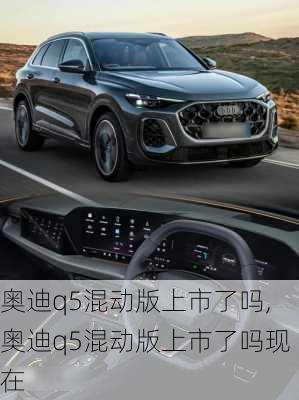 奥迪q5混动版上市了吗,奥迪q5混动版上市了吗现在