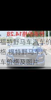 福特野马车汽车价格,福特野马车汽车价格及图片