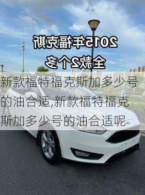 新款福特福克斯加多少号的油合适,新款福特福克斯加多少号的油合适呢