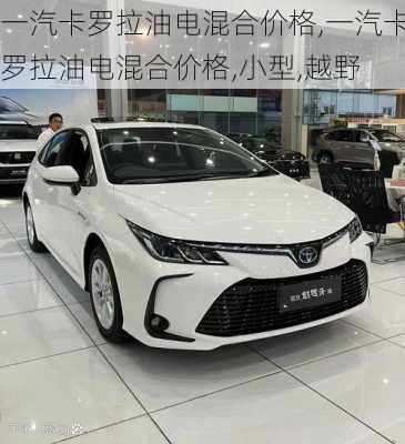 一汽卡罗拉油电混合价格,一汽卡罗拉油电混合价格,小型,越野