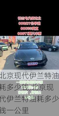 北京现代伊兰特油耗多少钱,北京现代伊兰特油耗多少钱一公里