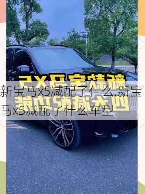 新宝马x5减配了什么,新宝马x5减配了什么车型