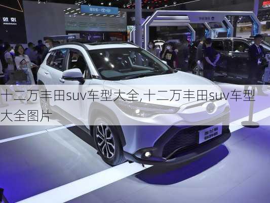 十二万丰田suv车型大全,十二万丰田suv车型大全图片