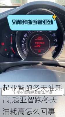 起亚智跑冬天油耗高,起亚智跑冬天油耗高怎么回事