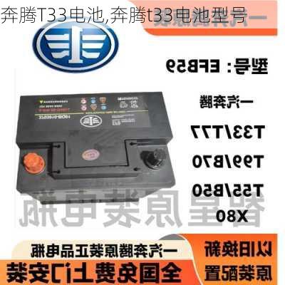 奔腾T33电池,奔腾t33电池型号