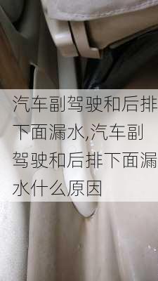 汽车副驾驶和后排下面漏水,汽车副驾驶和后排下面漏水什么原因