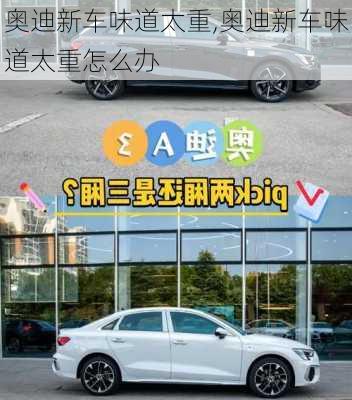 奥迪新车味道太重,奥迪新车味道太重怎么办