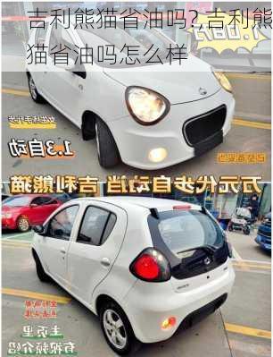 吉利熊猫省油吗?,吉利熊猫省油吗怎么样