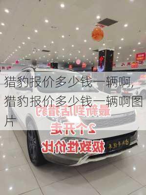猎豹报价多少钱一辆啊,猎豹报价多少钱一辆啊图片