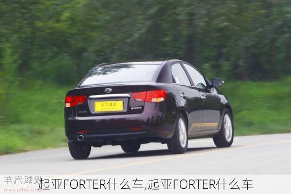 起亚FORTER什么车,起亚FORTER什么车