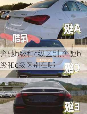 奔驰b级和c级区别,奔驰b级和c级区别在哪