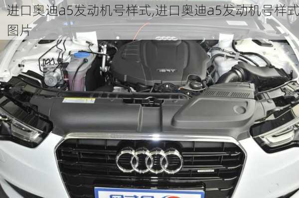 进口奥迪a5发动机号样式,进口奥迪a5发动机号样式图片