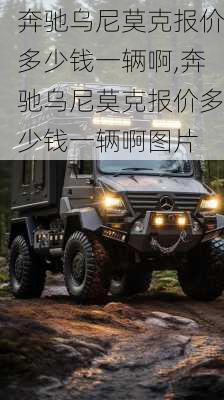 奔驰乌尼莫克报价多少钱一辆啊,奔驰乌尼莫克报价多少钱一辆啊图片