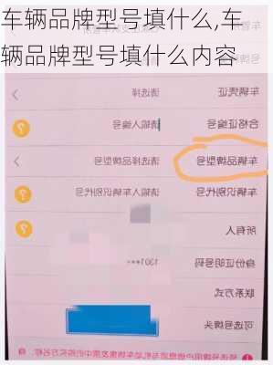 车辆品牌型号填什么,车辆品牌型号填什么内容