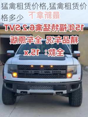 猛禽租赁价格,猛禽租赁价格多少