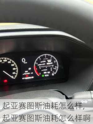 起亚赛图斯油耗怎么样,起亚赛图斯油耗怎么样啊