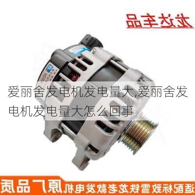 爱丽舍发电机发电量大,爱丽舍发电机发电量大怎么回事
