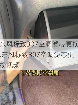 东风标致307空调滤芯更换,东风标致307空调滤芯更换视频