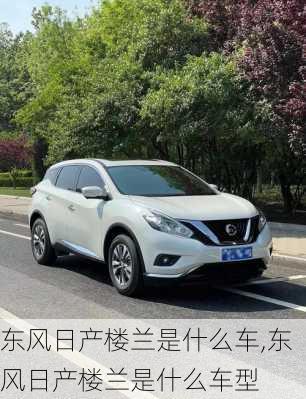 东风日产楼兰是什么车,东风日产楼兰是什么车型