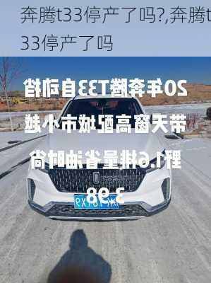 奔腾t33停产了吗?,奔腾t33停产了吗