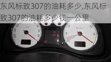 东风标致307的油耗多少,东风标致307的油耗多少钱一公里