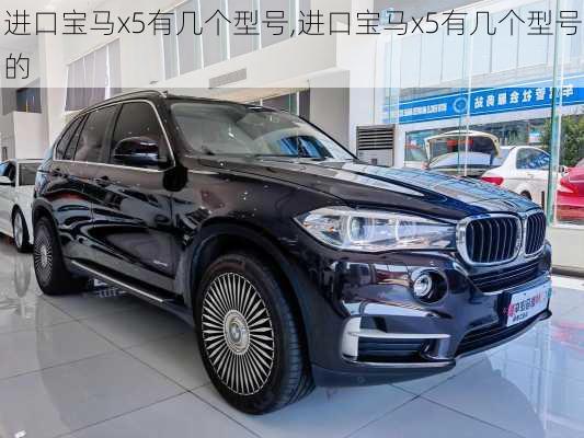 进口宝马x5有几个型号,进口宝马x5有几个型号的