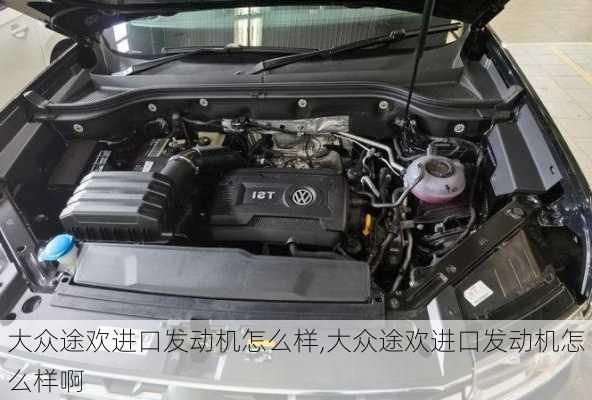 大众途欢进口发动机怎么样,大众途欢进口发动机怎么样啊