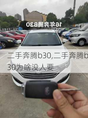 二手奔腾b30,二手奔腾b30为啥没人要