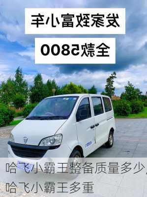 哈飞小霸王整备质量多少,哈飞小霸王多重