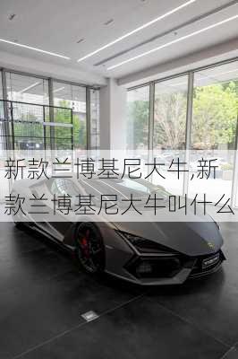 新款兰博基尼大牛,新款兰博基尼大牛叫什么
