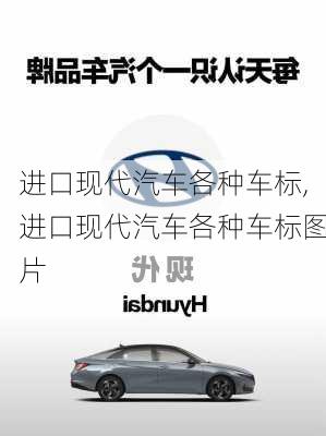 进口现代汽车各种车标,进口现代汽车各种车标图片