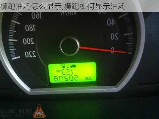 狮跑油耗怎么显示,狮跑如何显示油耗