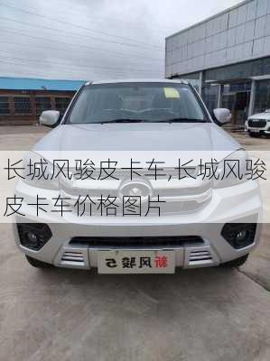 长城风骏皮卡车,长城风骏皮卡车价格图片