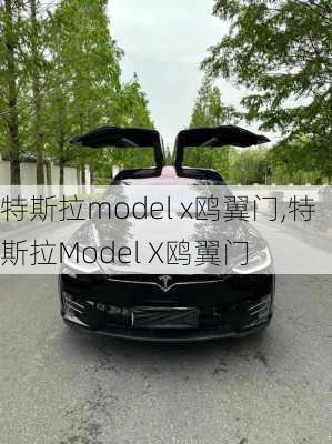 特斯拉model x鸥翼门,特斯拉Model X鸥翼门