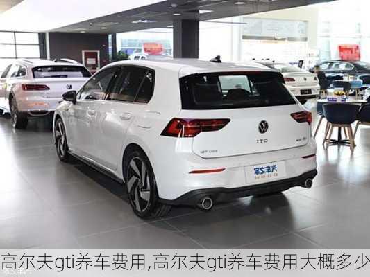 高尔夫gti养车费用,高尔夫gti养车费用大概多少