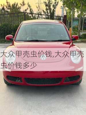 大众甲壳虫价钱,大众甲壳虫价钱多少