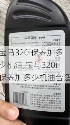 宝马320i保养加多少机油,宝马320i保养加多少机油合适