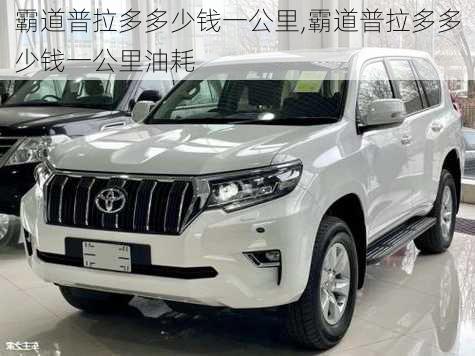 霸道普拉多多少钱一公里,霸道普拉多多少钱一公里油耗