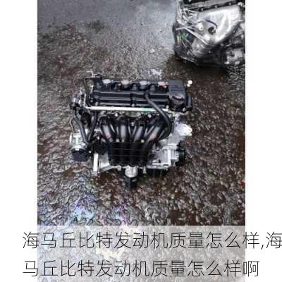 海马丘比特发动机质量怎么样,海马丘比特发动机质量怎么样啊