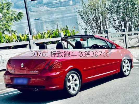 307cc,标致跑车敞篷307cc